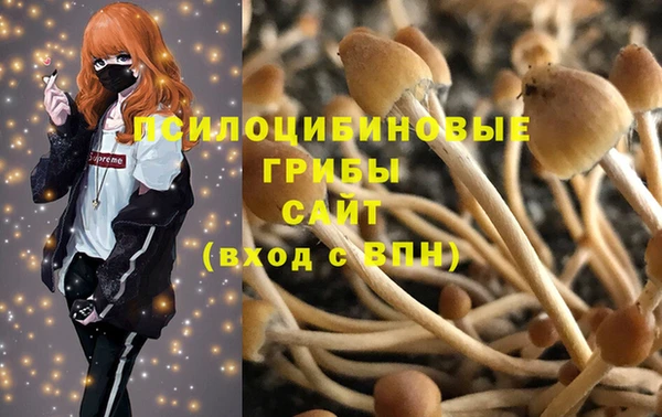 соль ск Абаза