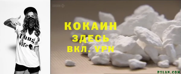 соль ск Абаза