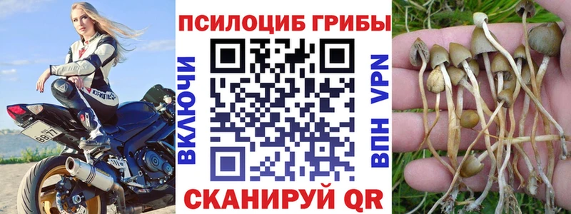 Галлюциногенные грибы Psilocybe  магазин  наркотиков  Серпухов 